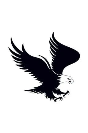 Besiktas Kartal