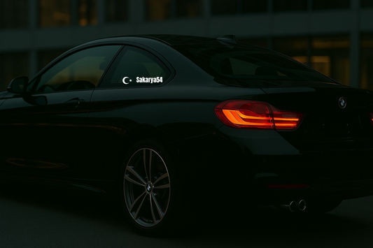 Sakarya54