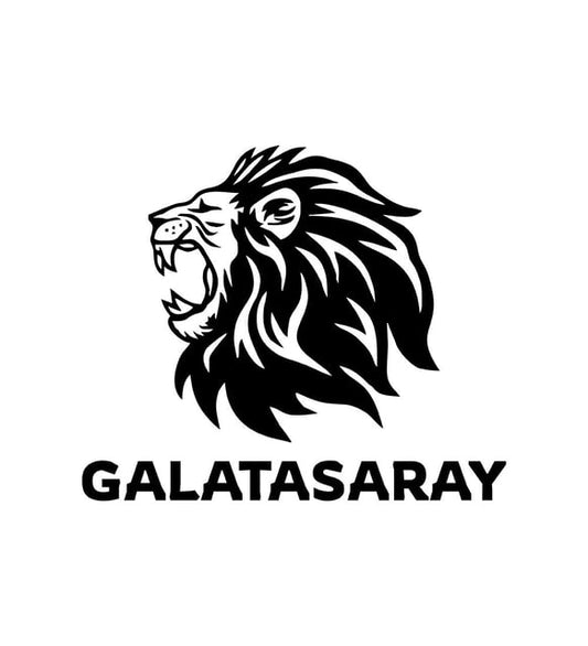 Galatasaray Aslan 2